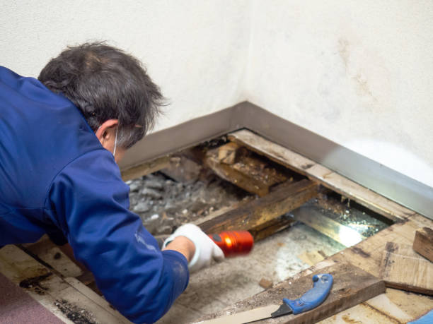 Best Crawl Space Mold Removal  in Guthrie Center, IA