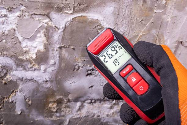 Best Attic Mold Removal  in Guthrie Center, IA