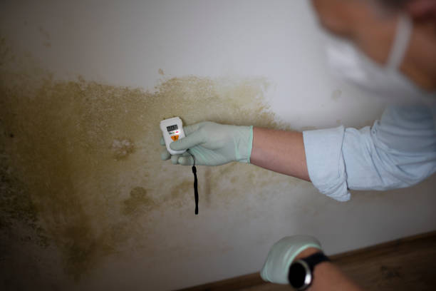 Best Residential Mold Removal  in Guthrie Center, IA