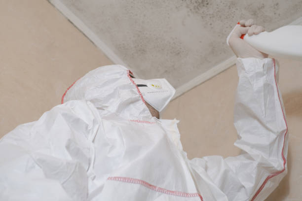 Best Office Mold Removal Services  in Guthrie Center, IA